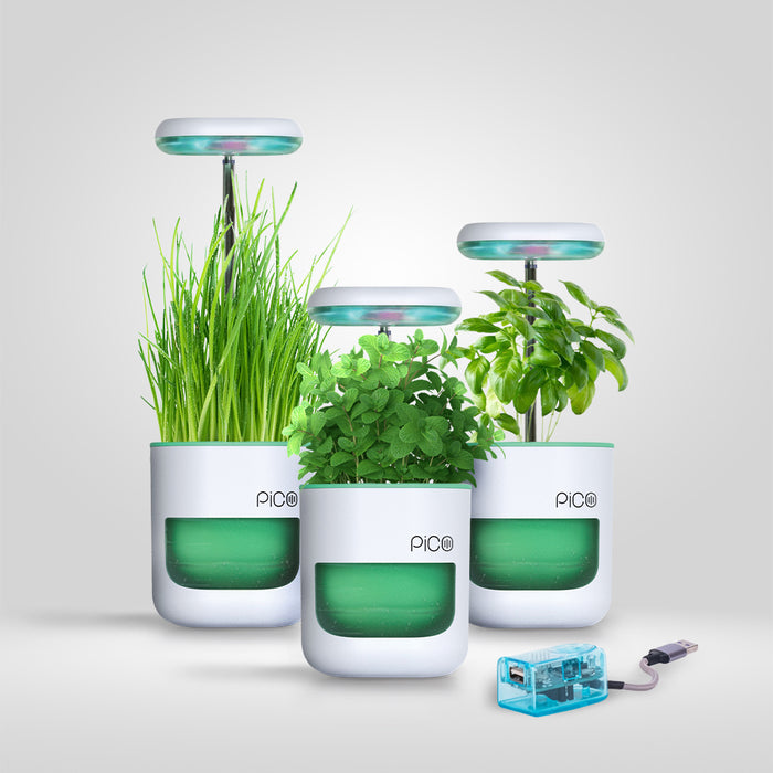 Sea Green / Pack of 3