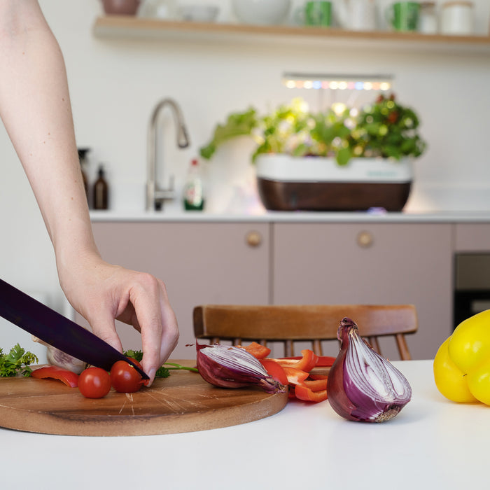 Herbstation Wall-Mounted