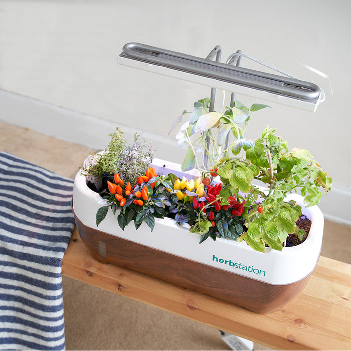 Herbstation Wall-Mounted