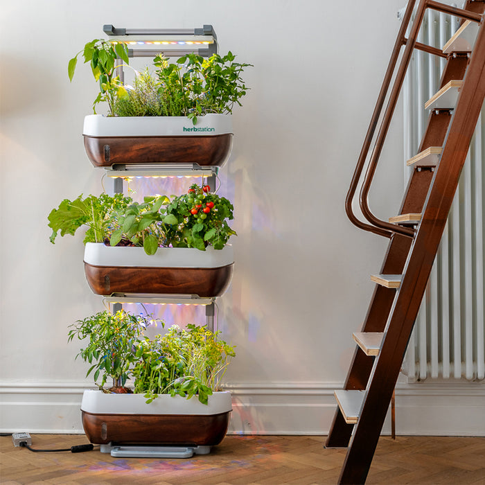 Herbstation Counter-Top