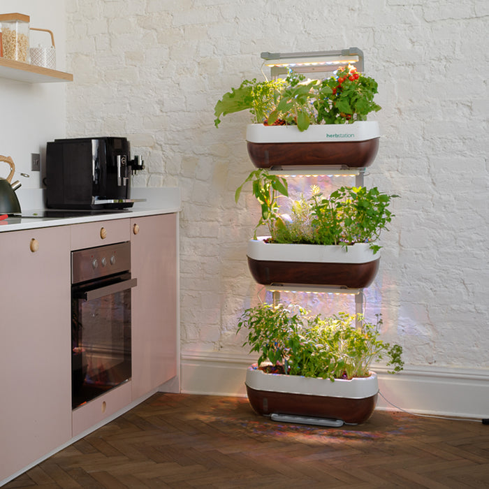 Herbstation Wall-Mounted