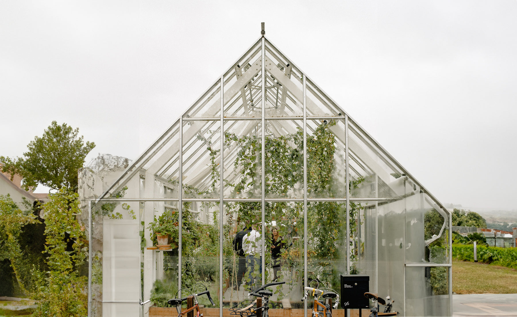 A Journey into Greenhouse Gardening