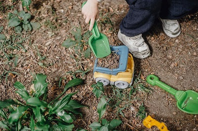 Fun Plant Activities for Kids