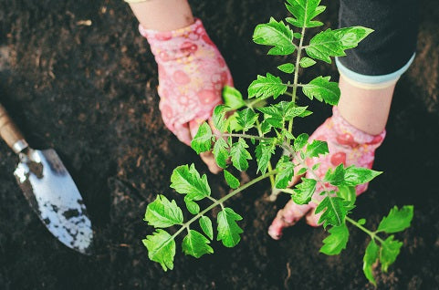 Gardening Trends To Dig Into In 2023