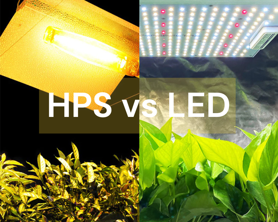 HPS vs. LED Grow Lights: Which is Better for Indoor Farming?