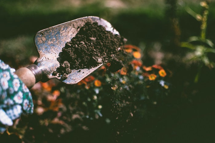 How To Improve Your Garden Soil
