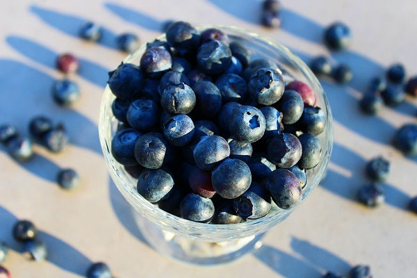 How to Grow Blueberries in Containers