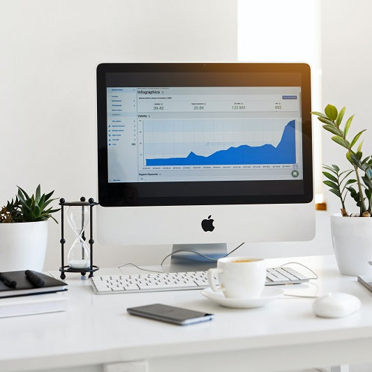 Indoor Plants for Your Office