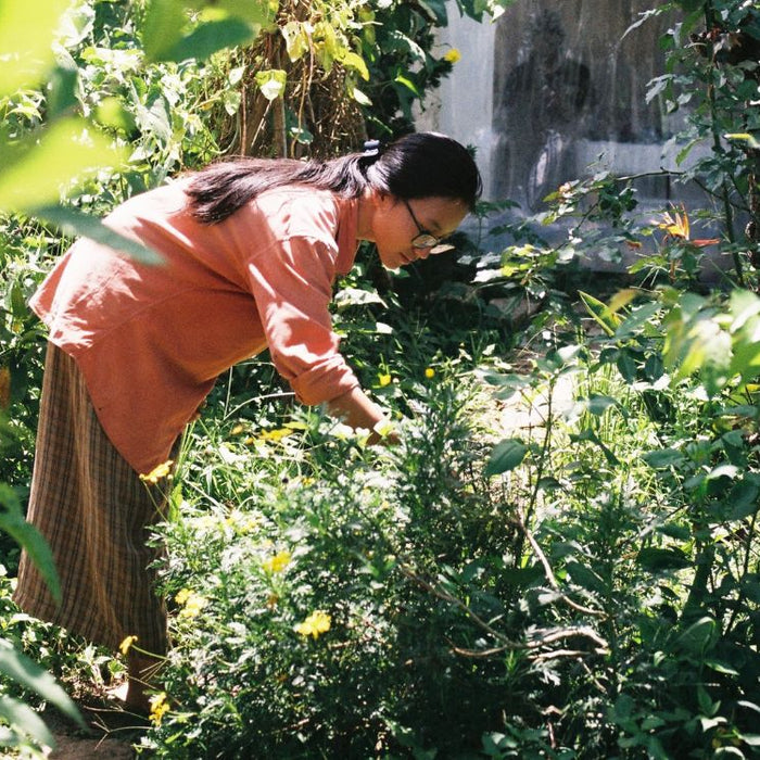 Electroculture Gardening — Altifarm Enverde
