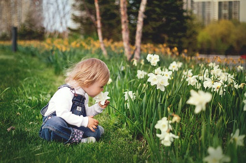 School Garden For Children