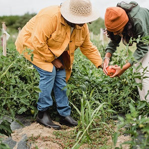 Seasonal Produce for February