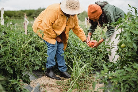 Seasonal Produce for February