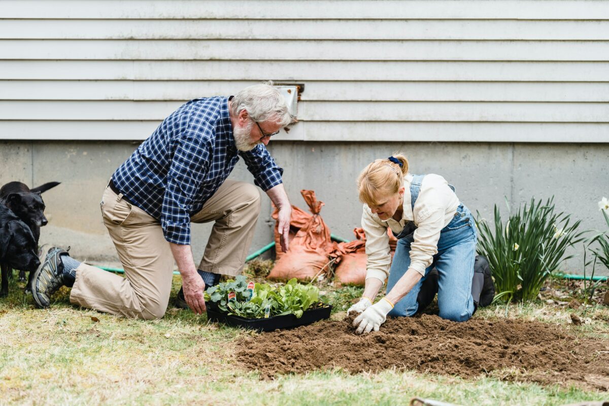 Top 5 Clever Gardening Tips and Ideas for Beginners