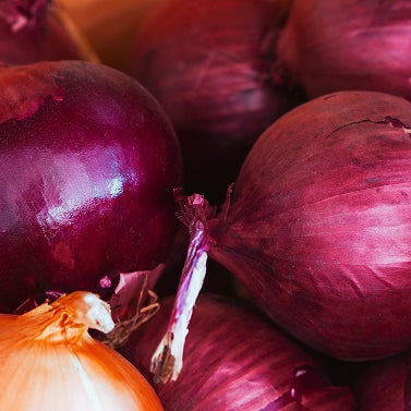 Types of Onions and Their Uses