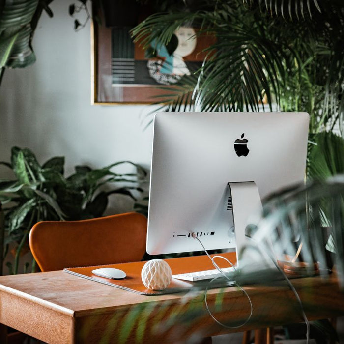 Jungle Vibes at Work: How Indoor Farming Spruces Up the Office Oasis