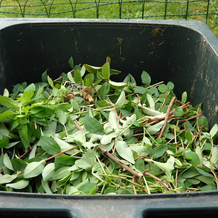 Turning Over a New Leaf: Smart Strategies for Garden Waste Management
