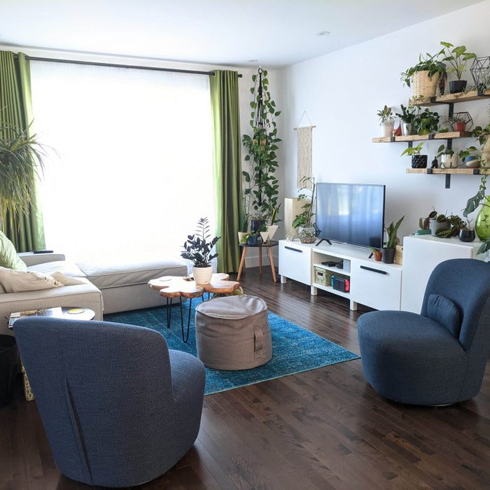 Ways to Decorate Your Home with Plants