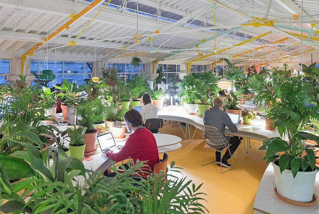 Workplace Sustainability in 2021