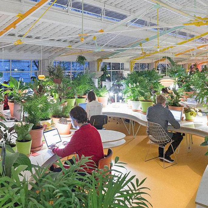 Workplace Sustainability in 2021