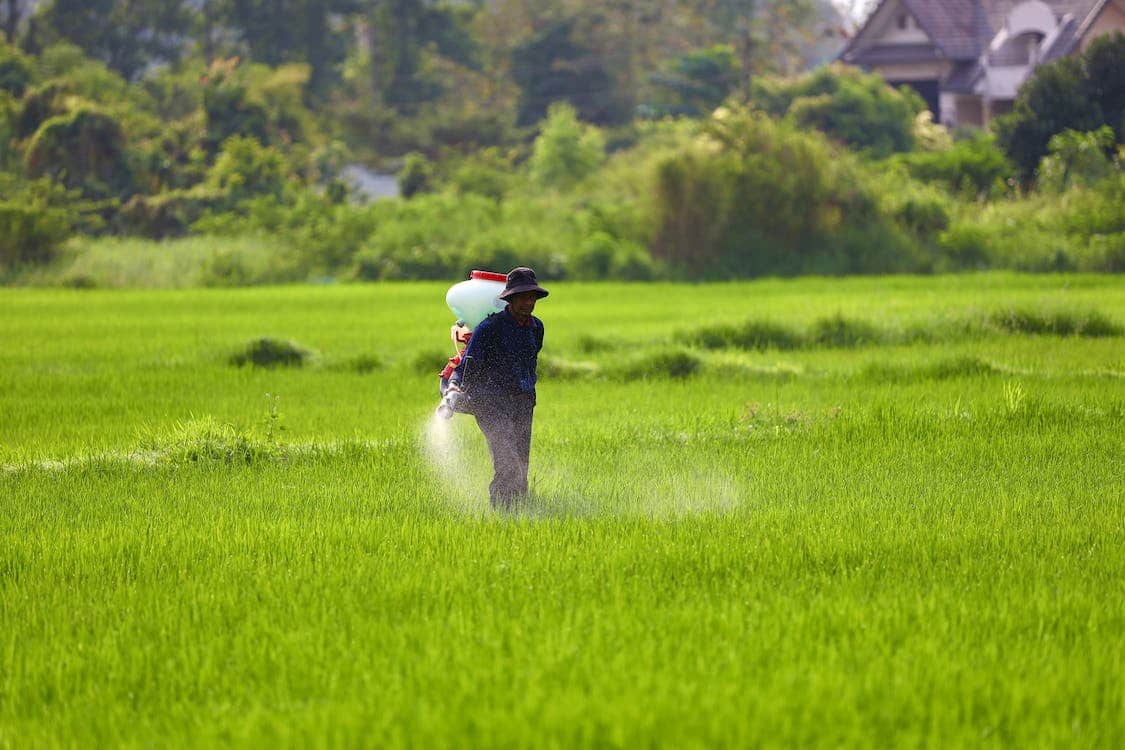 Early Spring Fertilizer Selection