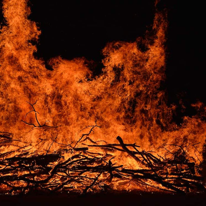 Unveiling The Ancient Practice Of Shifting Cultivation