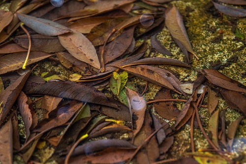 How to Handle Garden Waste?