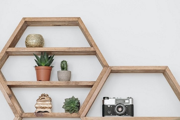 Extraordinary Ways to Display Your Plants