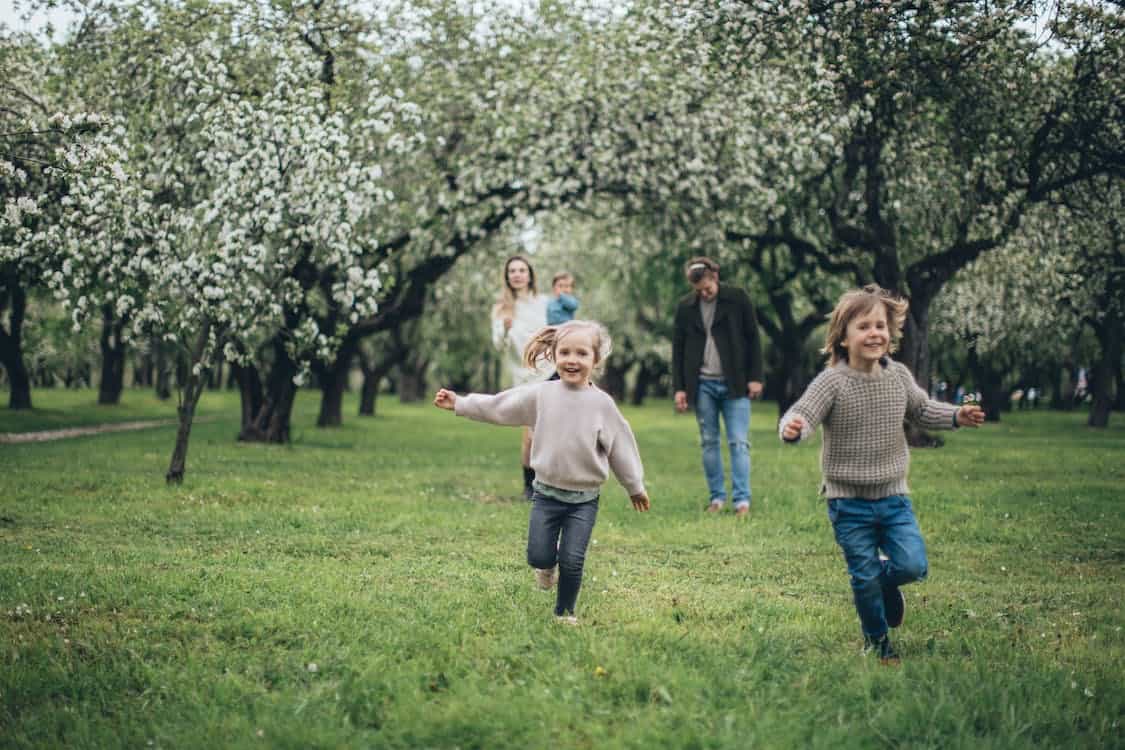 Spring Fun Walk Fun Spring Activities For Kids — Altifarm Enverde