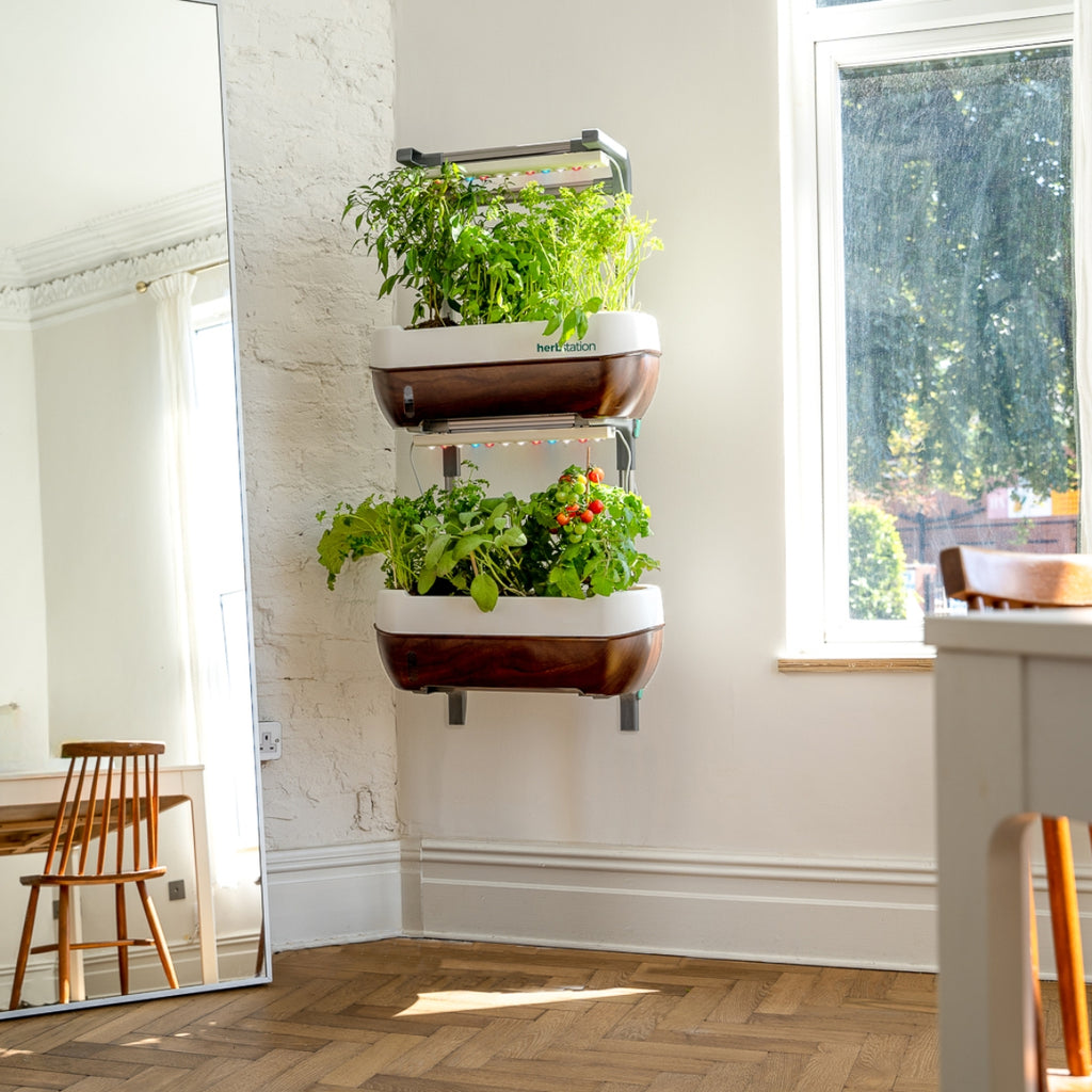 Altifarm: Smart Indoor Herb Gardens 