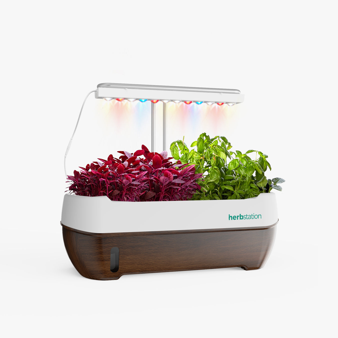 Herbstation Footer