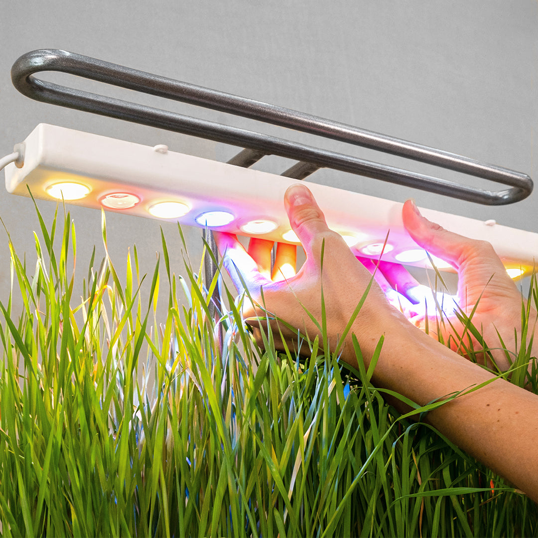 High-quality magnetic-mounting LED grow lights