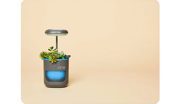 Self-watering system